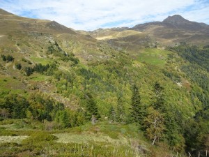 Lac d'Ourrec (43) 